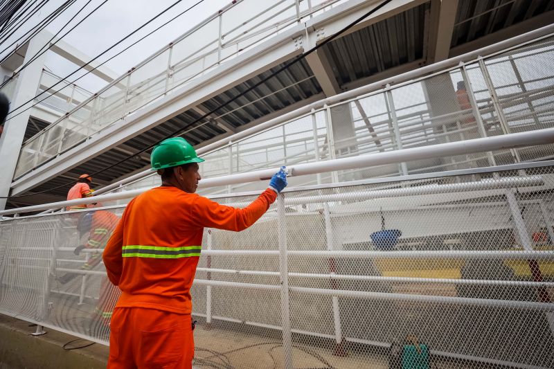Foto: Rodrigo Pinheiro / Ag.Pará